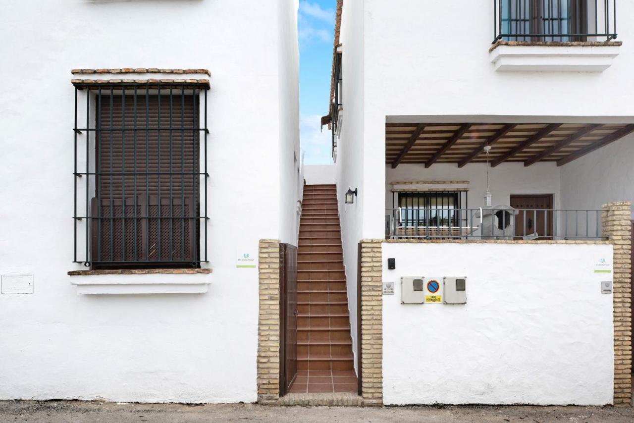 Estudio Clara 1 Conil De La Frontera